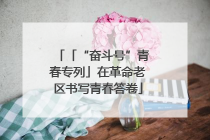 「“奋斗号”青春专列」在革命老区书写青春答卷