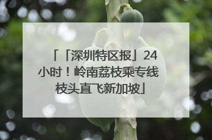 「深圳特区报」24小时！岭南荔枝乘专线 枝头直飞新加坡