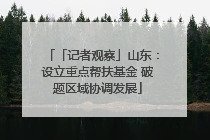 「记者观察」山东：设立重点帮扶基金 破题区域协调发展