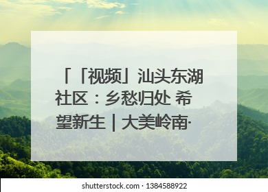 「视频」汕头东湖社区：乡愁归处 希望新生｜大美岭南·百村焕新记