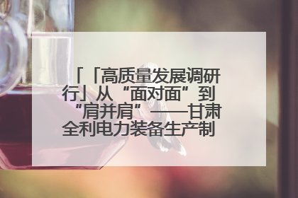「高质量发展调研行」从“面对面”到“肩并肩”——甘肃全利电力装备生产制造项目一线见闻