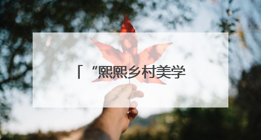 “熙熙乡村美学”进校园特殊孩子欢度好时光