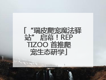 “瑞皮爬宠魔法驿站” 启幕！REPTIZOO 首推爬宠生态研学