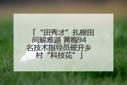 “田秀才”扎根田间解难题 黄梅94名技术指导员催开乡村“科技花”