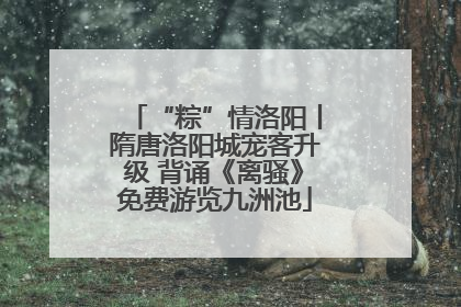 “粽”情洛阳丨隋唐洛阳城宠客升级 背诵《离骚》免费游览九洲池