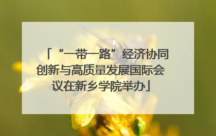 “一带一路”经济协同创新与高质量发展国际会议在新乡学院举办