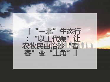 “三北”生态行：“以工代赈”让农牧民由治沙“看客”变“主角”