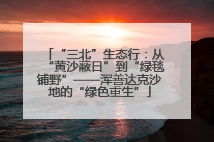 “三北”生态行：从“黄沙蔽日”到“绿毯铺野”——浑善达克沙地的“绿色重生”