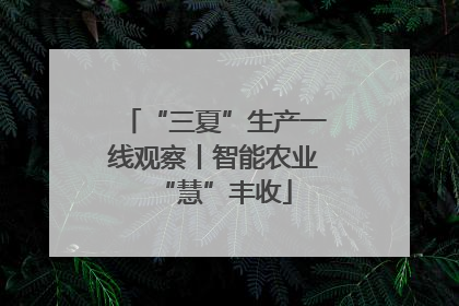 “三夏”生产一线观察丨智能农业“慧”丰收