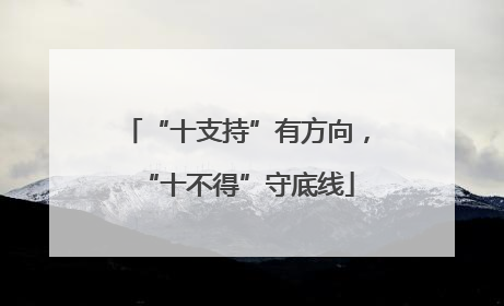 “十支持”有方向，“十不得”守底线