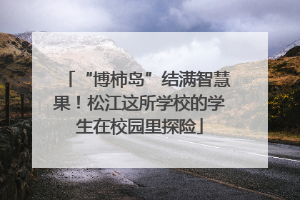 “博柿岛”结满智慧果！松江这所学校的学生在校园里探险
