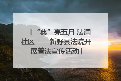 “典”亮五月 法润社区——新野县法院开展普法宣传活动