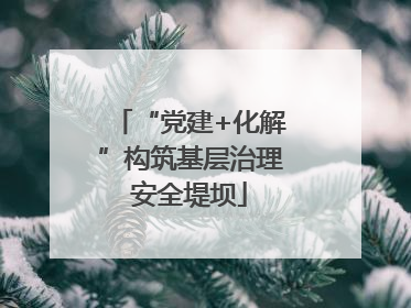 “党建+化解”构筑基层治理安全堤坝