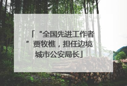 “全国先进工作者”贾牧樵，担任边境城市公安局长