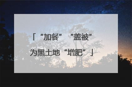 “加餐”“盖被” 为黑土地“增肥”