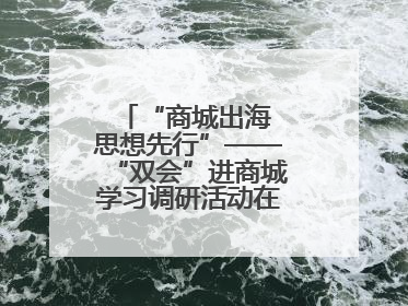 “商城出海 思想先行”——“双会”进商城学习调研活动在临沂顺利开展