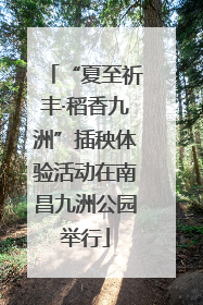 “夏至祈丰·稻香九洲”插秧体验活动在南昌九洲公园举行