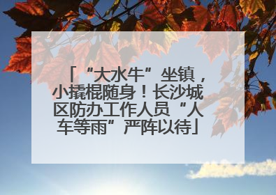 “大水牛”坐镇，小撬棍随身！长沙城区防办工作人员“人车等雨”严阵以待