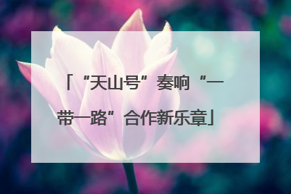 “天山号”奏响“一带一路”合作新乐章