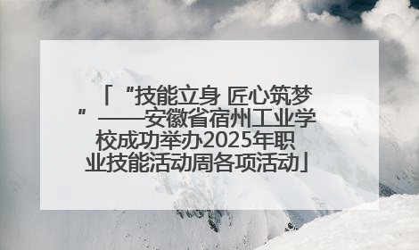 “技能立身 匠心筑梦”——安徽省宿州工业学校成功举办2025年职业技能活动周各项活动