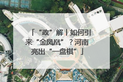 “政”解丨如何引来“金凤凰”？河南亮出“一盘棋”