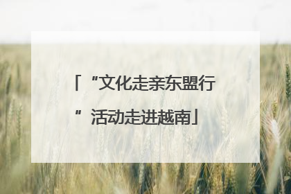 “文化走亲东盟行”活动走进越南