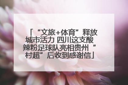 “文旅+体育”释放城市活力 四川这支酸辣粉足球队亮相贵州“村超”后收到感谢信