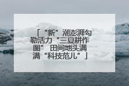 “新”潮澎湃勾勒活力“三夏耕作图” 田间地头满满“科技范儿”