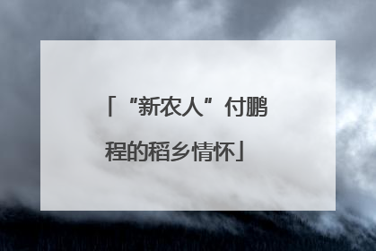 “新农人”付鹏程的稻乡情怀
