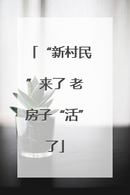 “新村民”来了 老房子“活”了