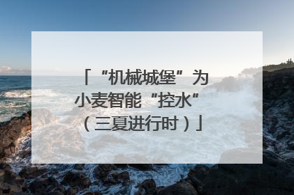“机械城堡”为小麦智能“控水”（三夏进行时）