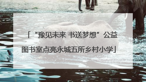 “豫见未来 书送梦想”公益图书室点亮永城五所乡村小学