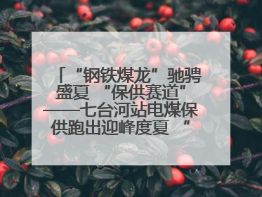 “钢铁煤龙”驰骋盛夏 “保供赛道”——七台河站电煤保供跑出迎峰度夏 “加速度”