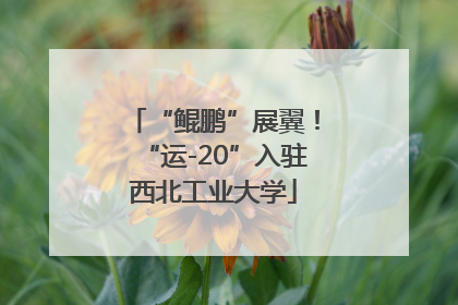 “鲲鹏”展翼！“运-20”入驻西北工业大学