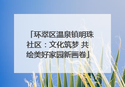 环翠区温泉镇明珠社区：文化筑梦 共绘美好家园新画卷