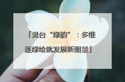灵台“绿韵”：多维逐绿绘就发展新图景