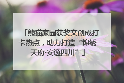 熊猫家园获奖文创成打卡热点，助力打造“锦绣天府·安逸四川”