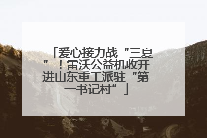 爱心接力战“三夏”！雷沃公益机收开进山东重工派驻“第一书记村”