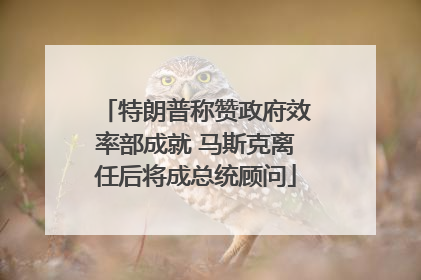 特朗普称赞政府效率部成就 马斯克离任后将成总统顾问