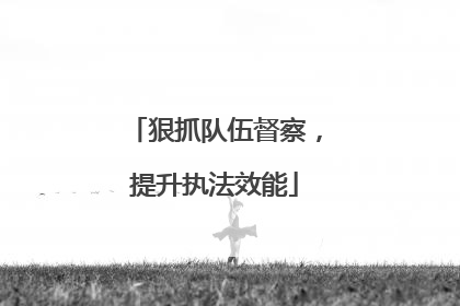 狠抓队伍督察，提升执法效能