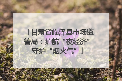甘肃省临泽县市场监管局：护航“夜经济” 守护“烟火气”