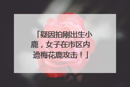 疑因拍刚出生小鹿，女子在市区内遭梅花鹿攻击！