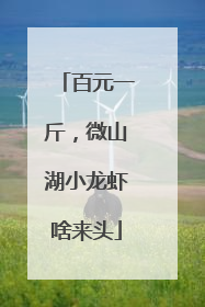 百元一斤，微山湖小龙虾啥来头