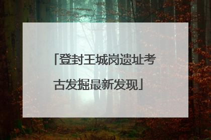 登封王城岗遗址考古发掘最新发现