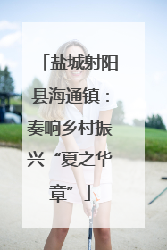 盐城射阳县海通镇：奏响乡村振兴“夏之华章”