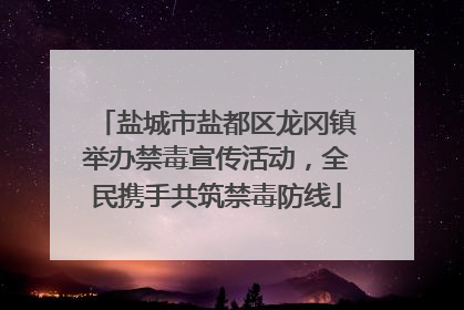 盐城市盐都区龙冈镇举办禁毒宣传活动，全民携手共筑禁毒防线