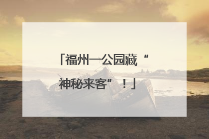 福州一公园藏“神秘来客”！