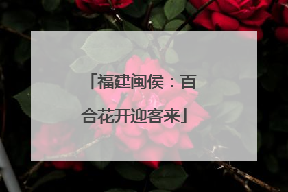 福建闽侯：百合花开迎客来