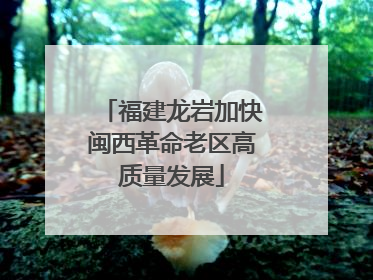 福建龙岩加快闽西革命老区高质量发展