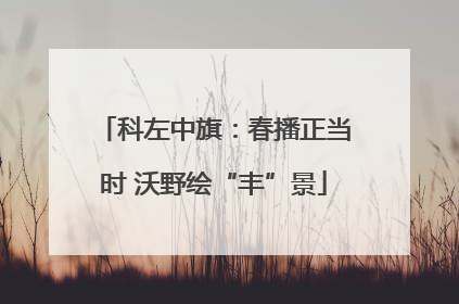 科左中旗：春播正当时 沃野绘“丰”景